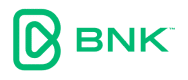 BNK Bank logo