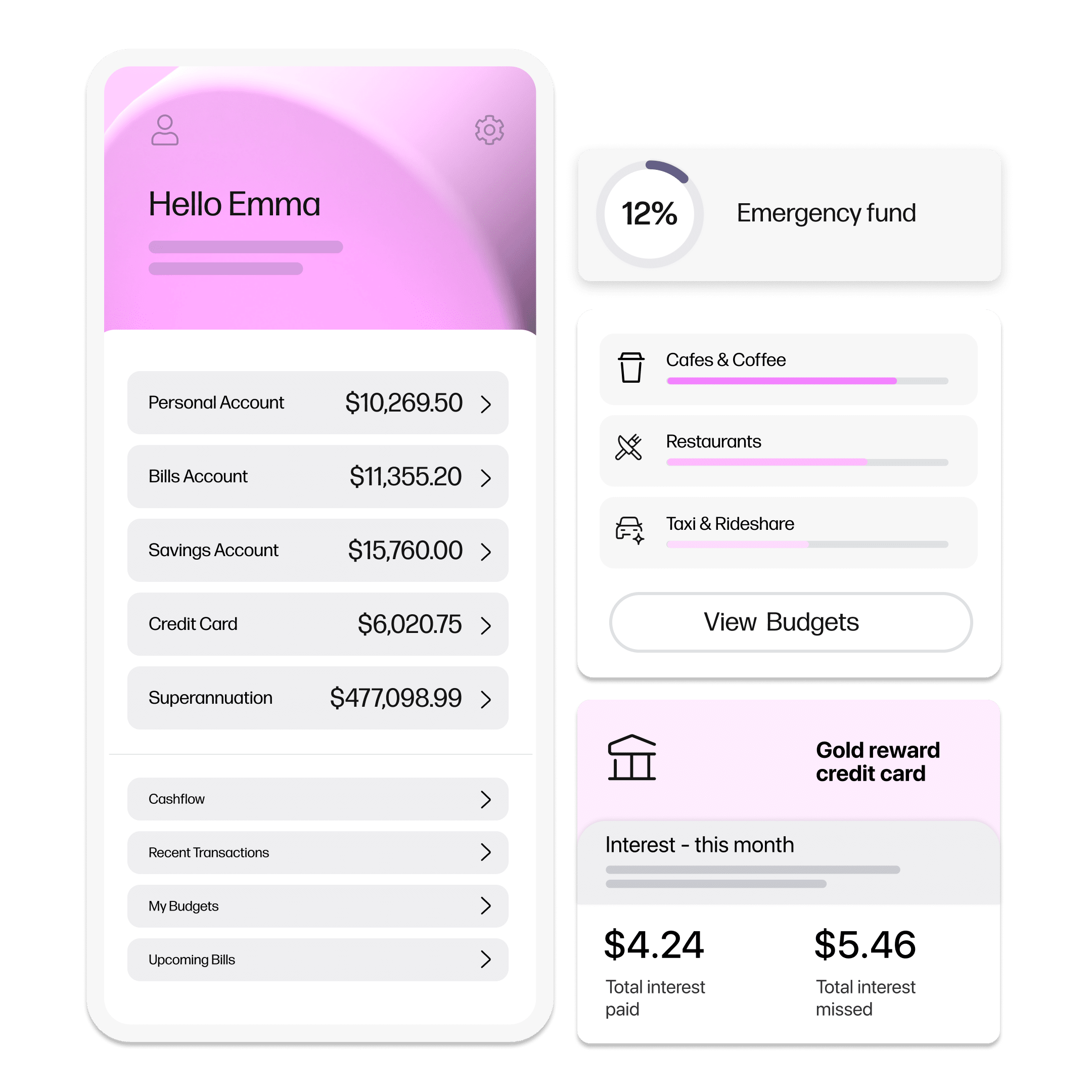 Money Management Platform feature illustration